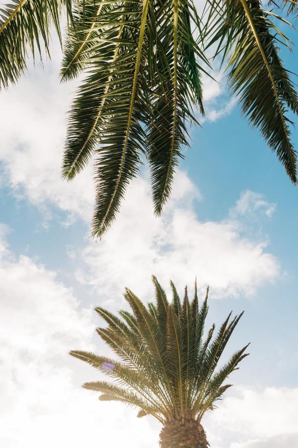 La Palmera - Fabulosa Casa, Lanzarote, Playa Honda プラヤ・オンダ エクステリア 写真