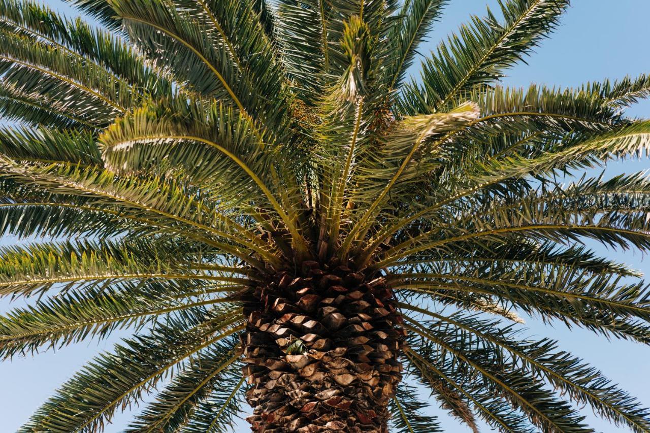 La Palmera - Fabulosa Casa, Lanzarote, Playa Honda プラヤ・オンダ エクステリア 写真