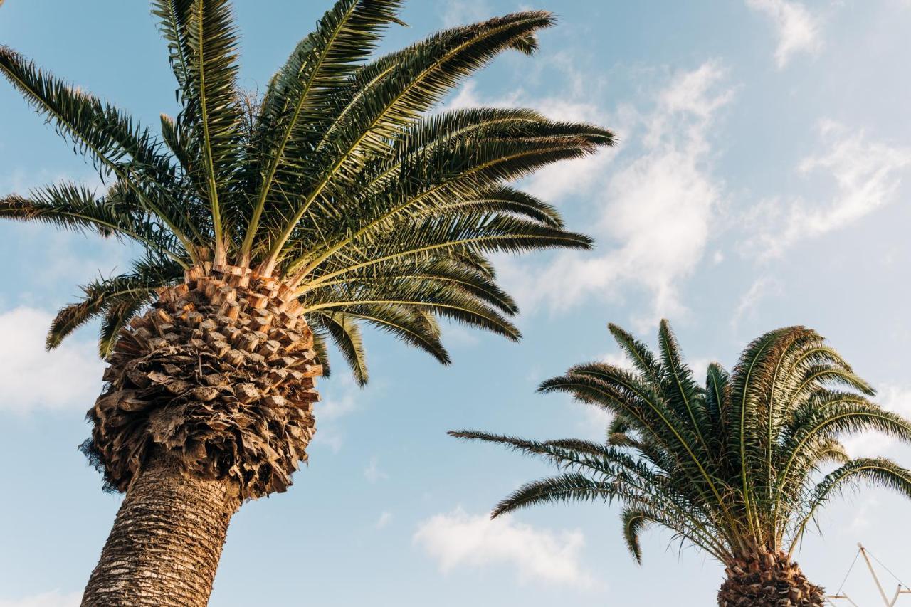 La Palmera - Fabulosa Casa, Lanzarote, Playa Honda プラヤ・オンダ エクステリア 写真
